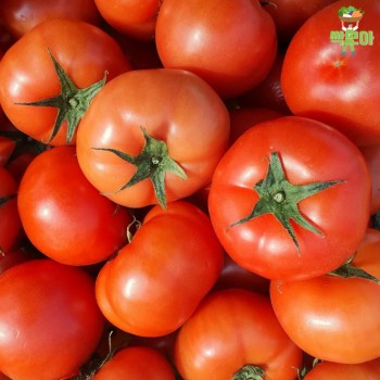(무료배송)완숙 토마토 1kg(2~3번)
